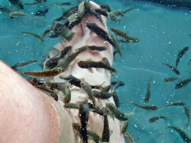 Original image